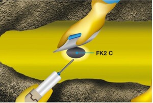 DENSOLID-FK2 C  Opravná hmota DENSOLID-FK2 C