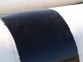 densolidy_clip_image019